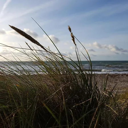 Σπίτι διακοπών Lichtblick Am Teich