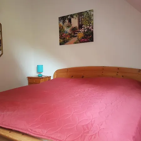 Lichtblick Am Teich *