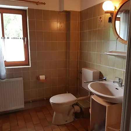 Lichtblick Am Teich *