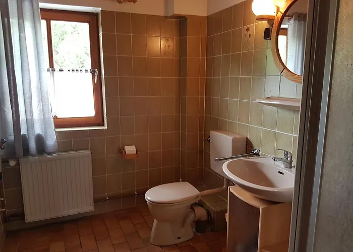 Lichtblick Am Teich *